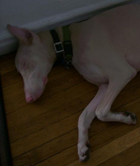 wes sleeping