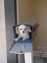 Baby in Mail