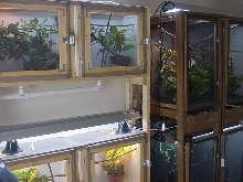 Some of the cages I have