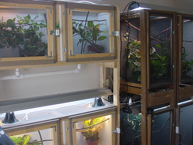 Some of the cages I have