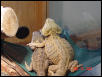 Friends Forever