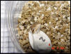 First egg to hatch