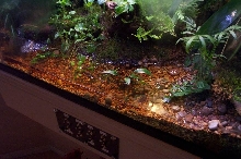 bottom of tank