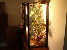 my enclosure