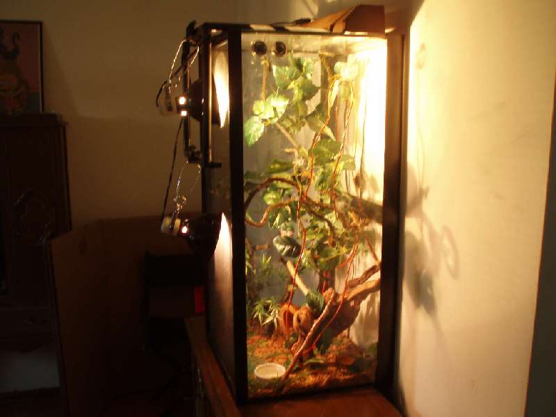 my enclosure