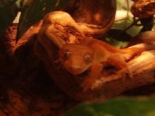 caught me looking!