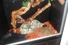 bottom of cage