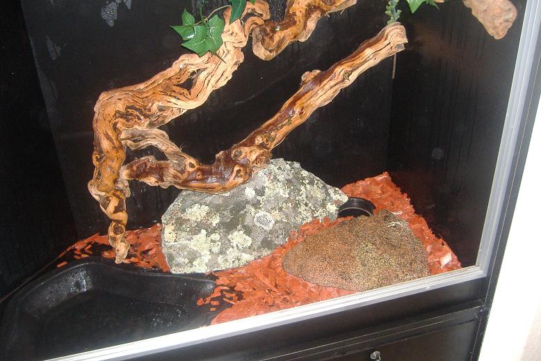 bottom of cage