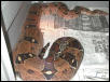 Gravid Pastel Boa
