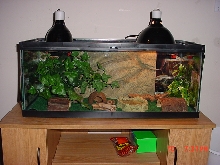 new setup 3/10/07