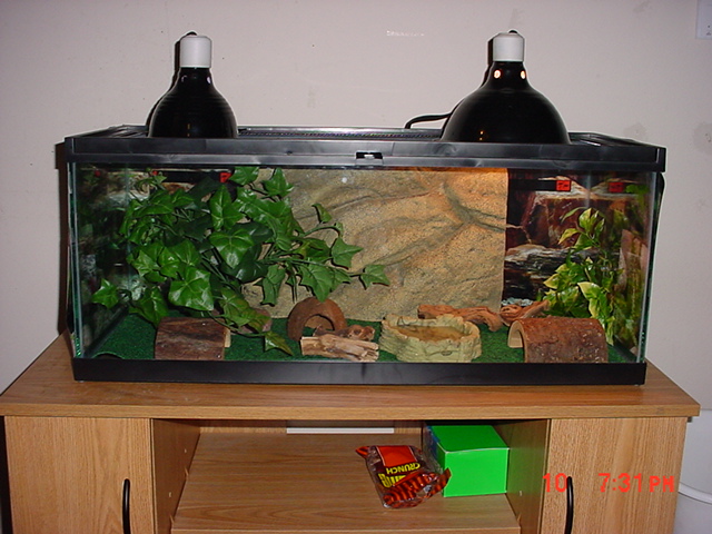new setup 3/10/07