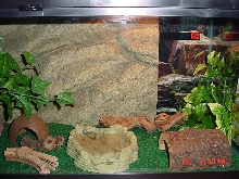 new setup-2   3/10/07