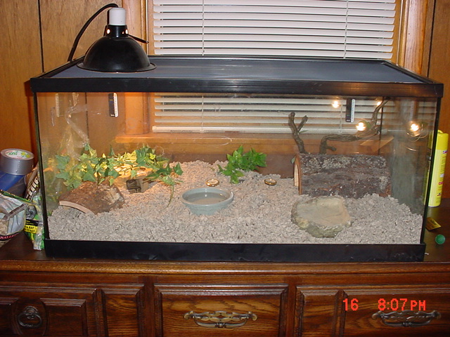 bp tank