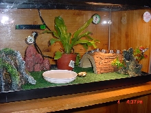 Brudegan's Enclosure