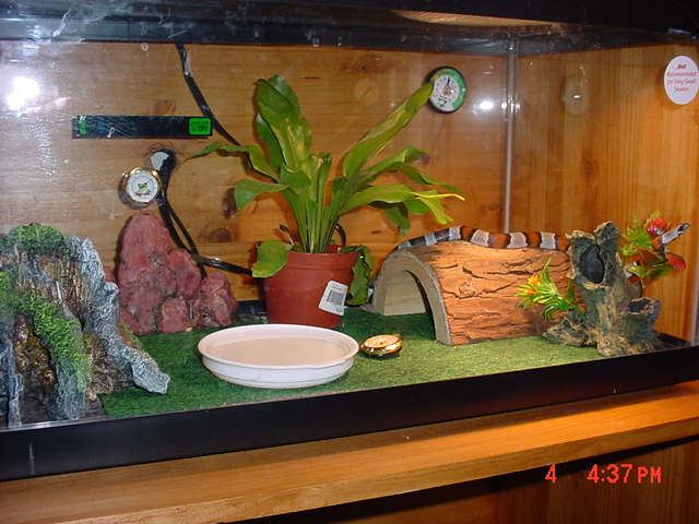 Brudegan's Enclosure