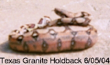 '04 Texas Granite