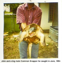 Big male Snapper.  WC 1994, Austin, TX.