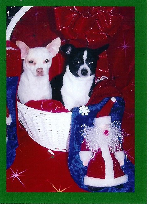 Maggie May and Misha