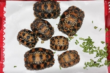 RADIATAS