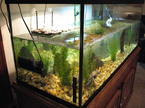 DBT tank