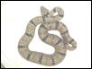 Florida Mountain (female)