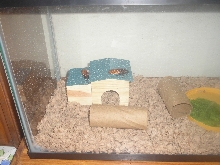 Hamlet & Laertes