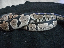 1.0 Granite