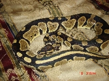 granite