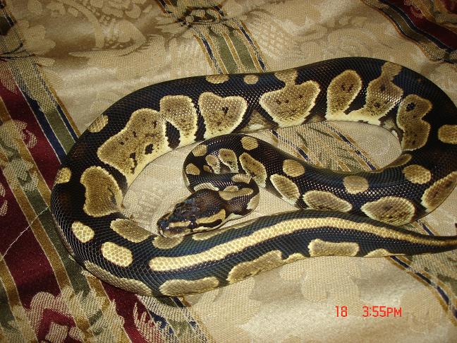 granite