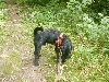 Buster Patterdale