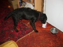 Patterdale drinking tea