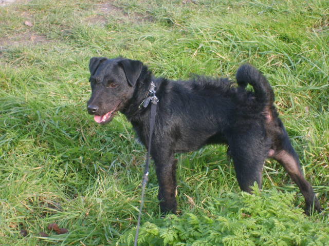 Buster