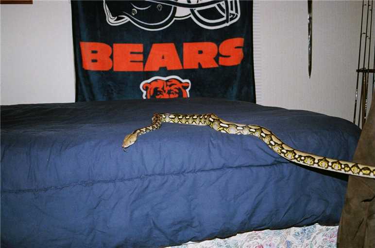 taking over the bed