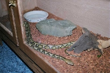 new enclosure 2