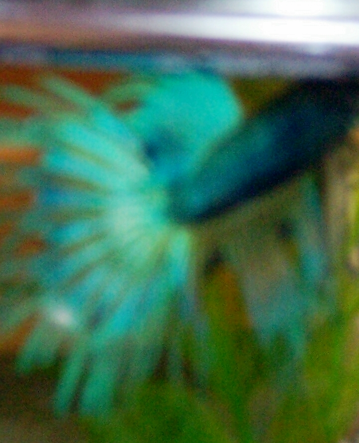 I'm a mommy!