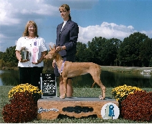 Rory Sweeps 1st Place