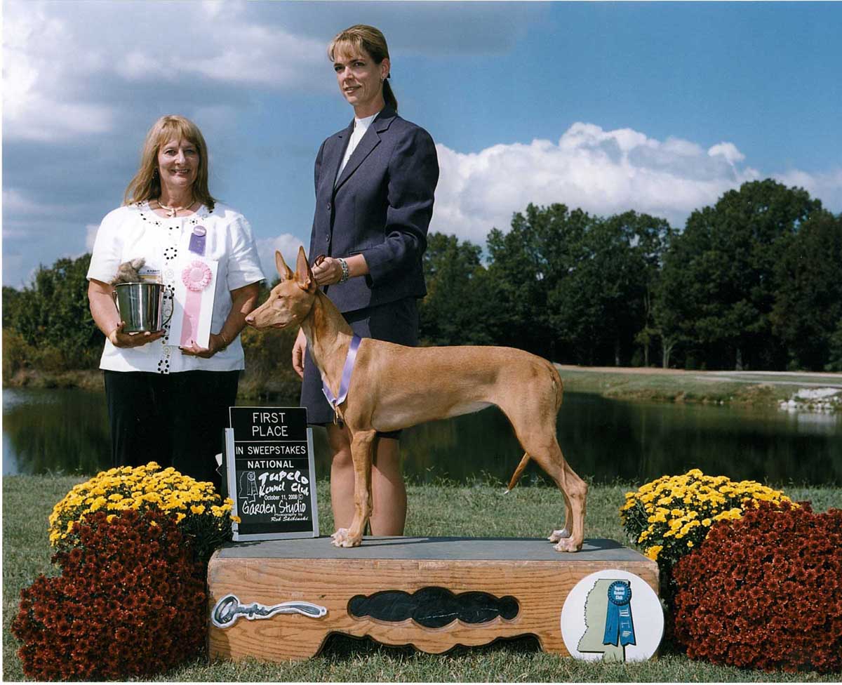 Rory Sweeps 1st Place