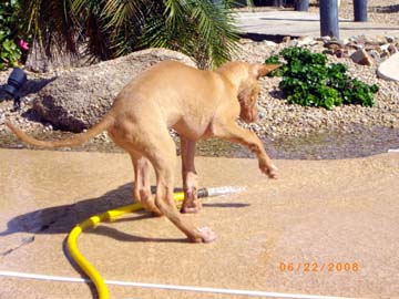 Rory with hose (2)