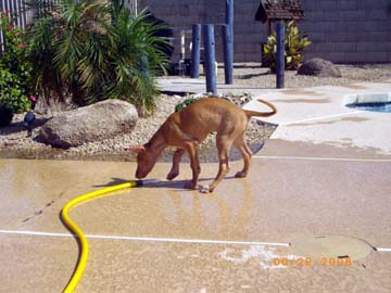 Rory with hose (1)