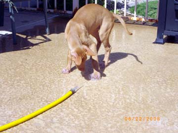 Rory with hose (3)