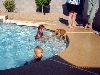 Rory in pool