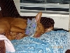 Rory sleeping comfy