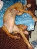 Rory sleeping upside down