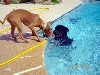 Legend & Rory with the hose