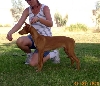 RoryStacked18weeks