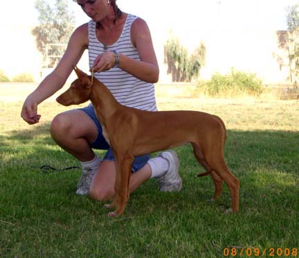 RoryStacked18weeks