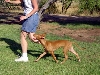 RoryMoving18weeks