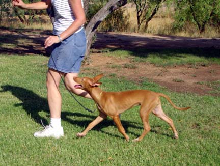 RoryMoving18weeks