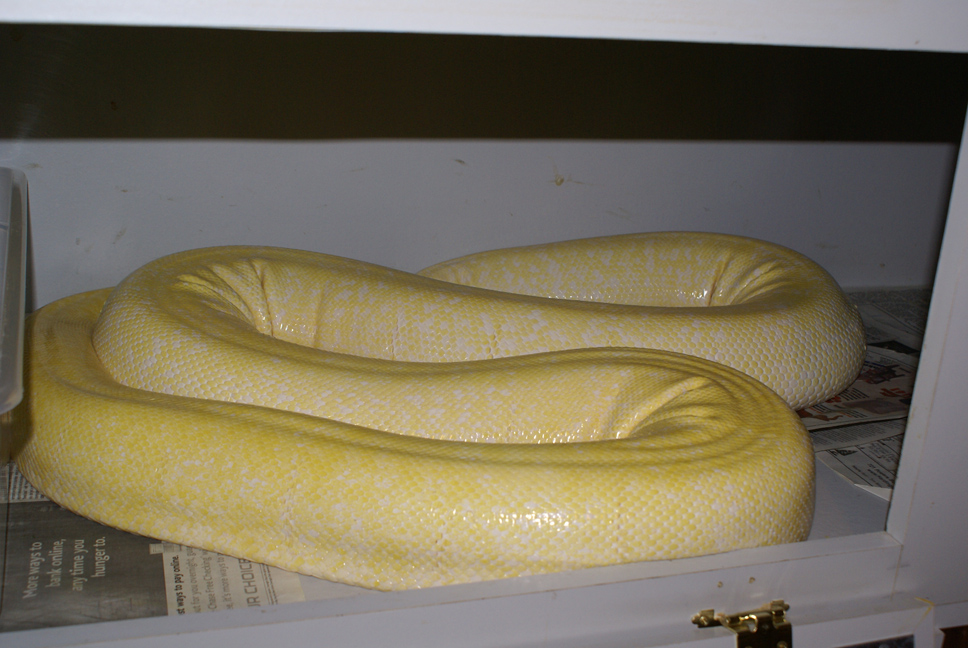Albino Granite Burmese 2