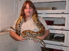 Leopard Burmese Python